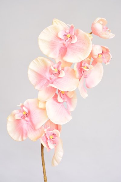Kunstbloemen orchidee
