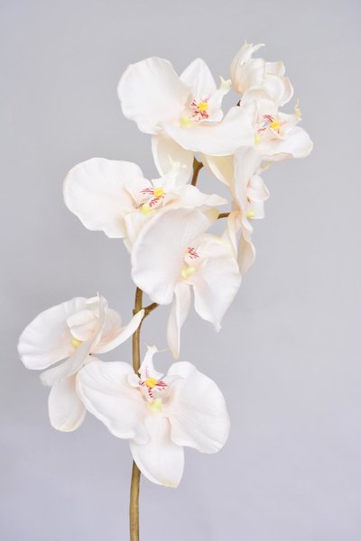 Kunstbloem orchidee