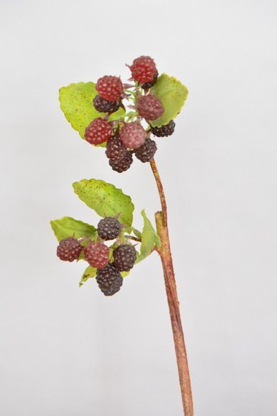 Bramentak kunstbloem, 40cm