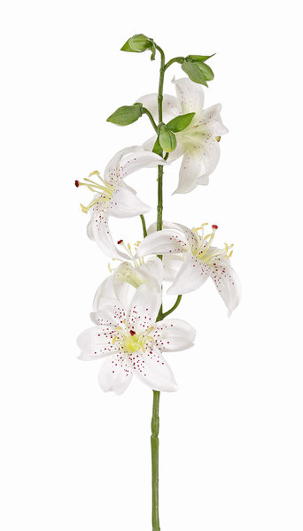 Lelie (Lilium) kunstbloem met 5 bloemen, 64cm