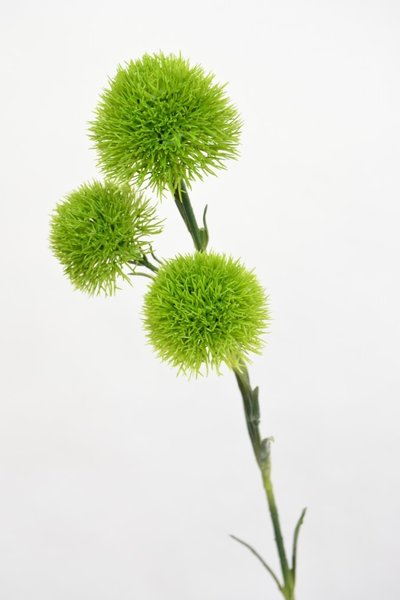 ZIjden kunstbloem groentak, 60cm