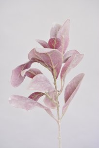 Lamsoor 38cm, bordeaux Lamsoor 38cm, bordeaux