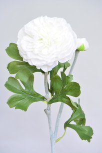 Ranonkel, 55cm, Wit Ranonkel, 55cm, Wit