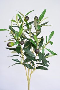 Olijftak, 55cm Olijftak, 55cm