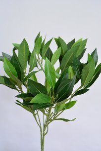 Laurierbladtak, 48cm Laurierbladtak, 48cm