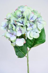 Hortensia, 65cm blauw groen Hortensia, 65cm blauw groen