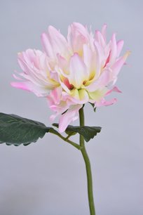 Dahlia, lichtroze, 31cm Dahlia, lichtroze, 31cm