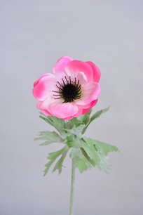 Anemoon, 32cm, Roze Anemoon, 32cm, Roze