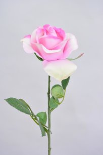 Roos, 36cm, Roze Roos, 36cm, Roze