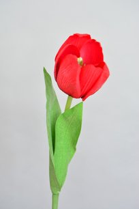 Tulp, Rood, 47cm Tulp, Rood, 47cm
