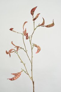 Decotak, 80cm, Bordeaux Decotak, 80cm, Bordeaux