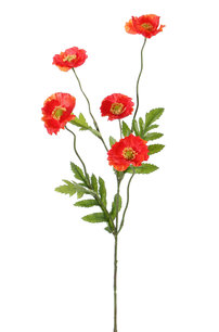 Klaproos kunstbloem, 63cm Klaproos kunstbloem, 63cm