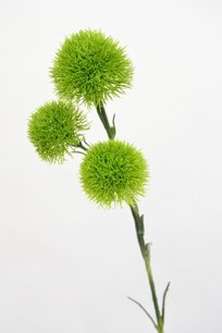 ZIjden kunstbloem groentak, 60cm ZIjden kunstbloem groentak, 60cm